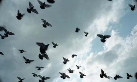 GetAttachment-1.aspx GetAttachment-1.aspx