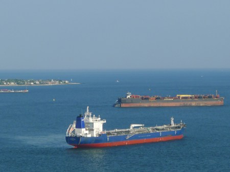 brooklyn,bug.flea7151202