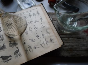 brooklyn.bugvtg82401