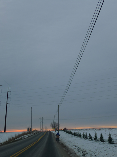 brooklynbug2013-1-12